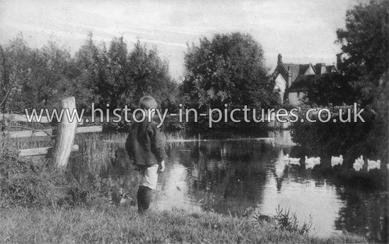 The Old Mill, Hadleigh, Essex. c.1907